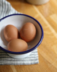small footed enamel bowl white