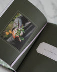 Open book with a page showing a person holding a plant, on a marble surface.
