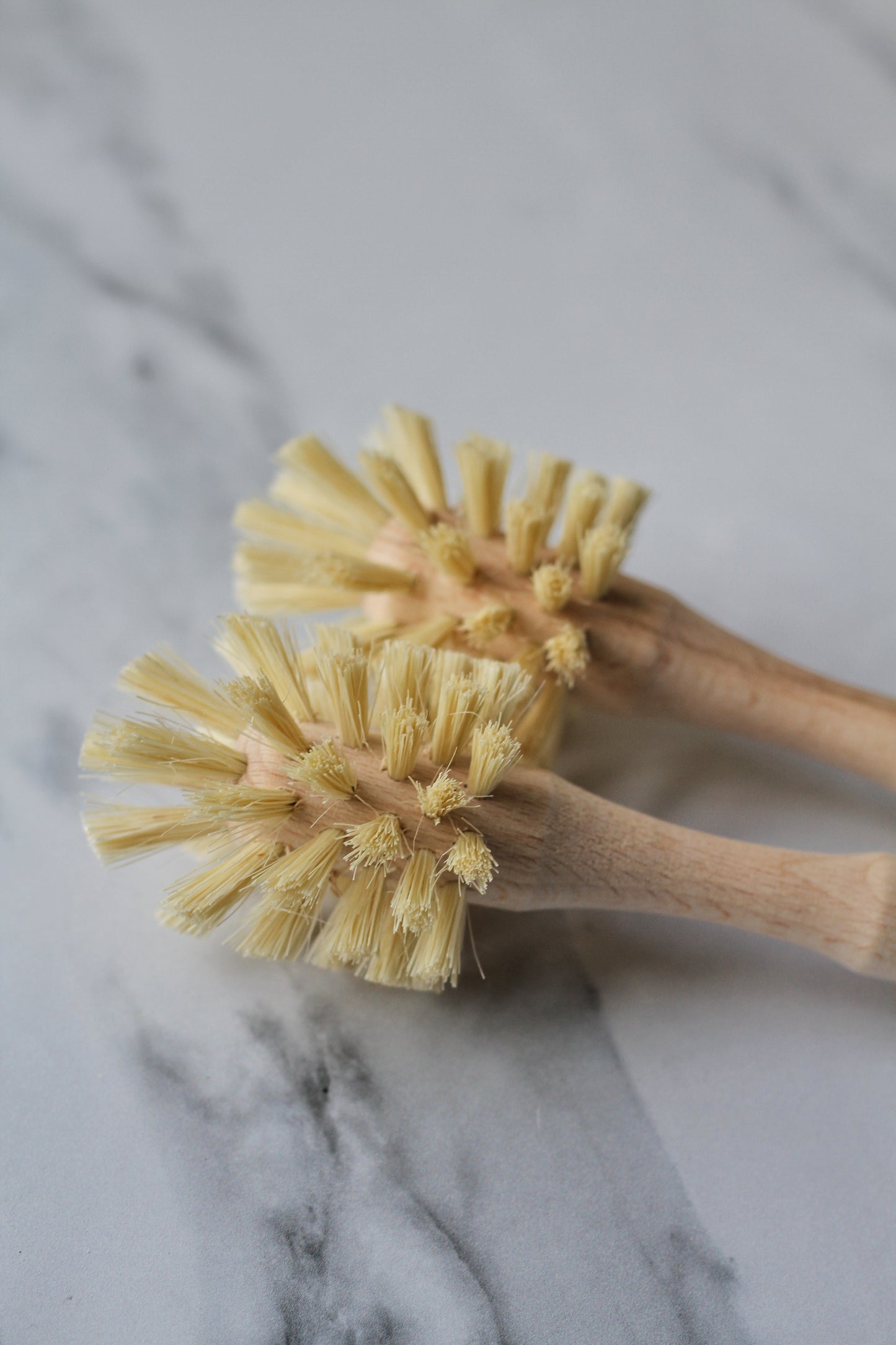 wooden dish brush