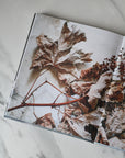 inspired by nature book by hans blomquist