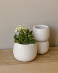 white crackel glaze plant pot internal