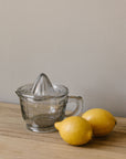 glass juicer and jug