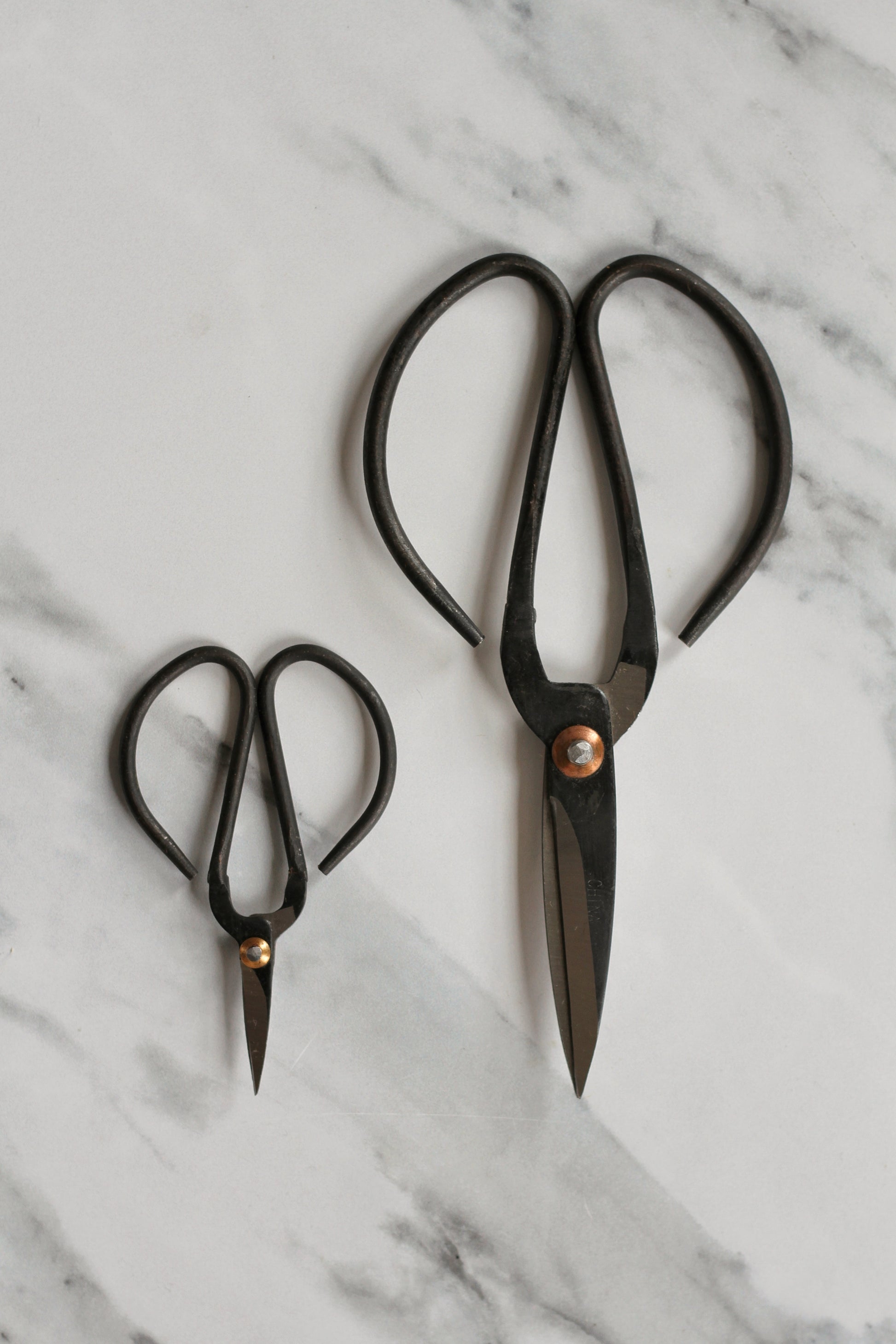 Black Garden scissors