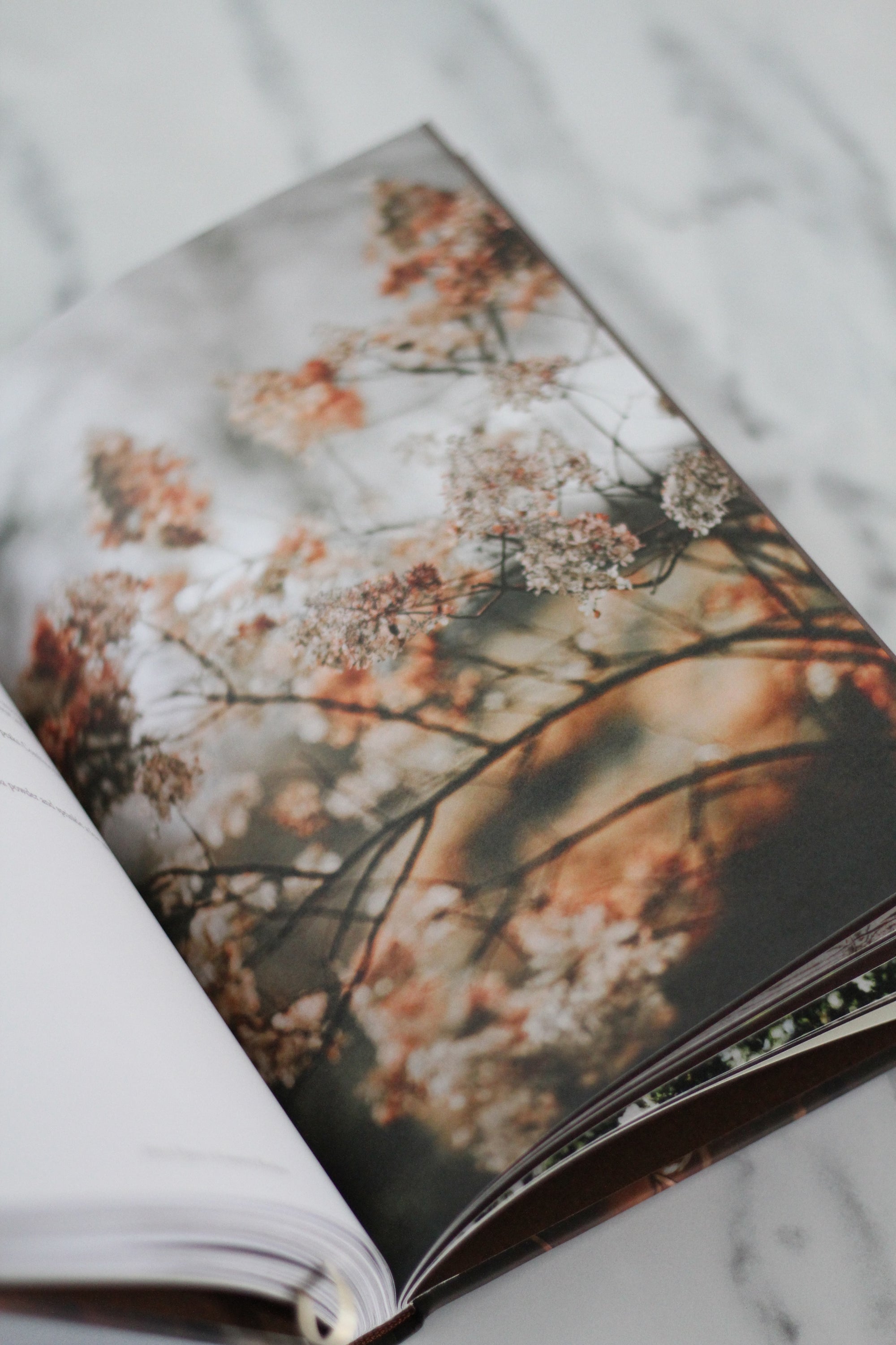 Open book with a floral page on a marble surface