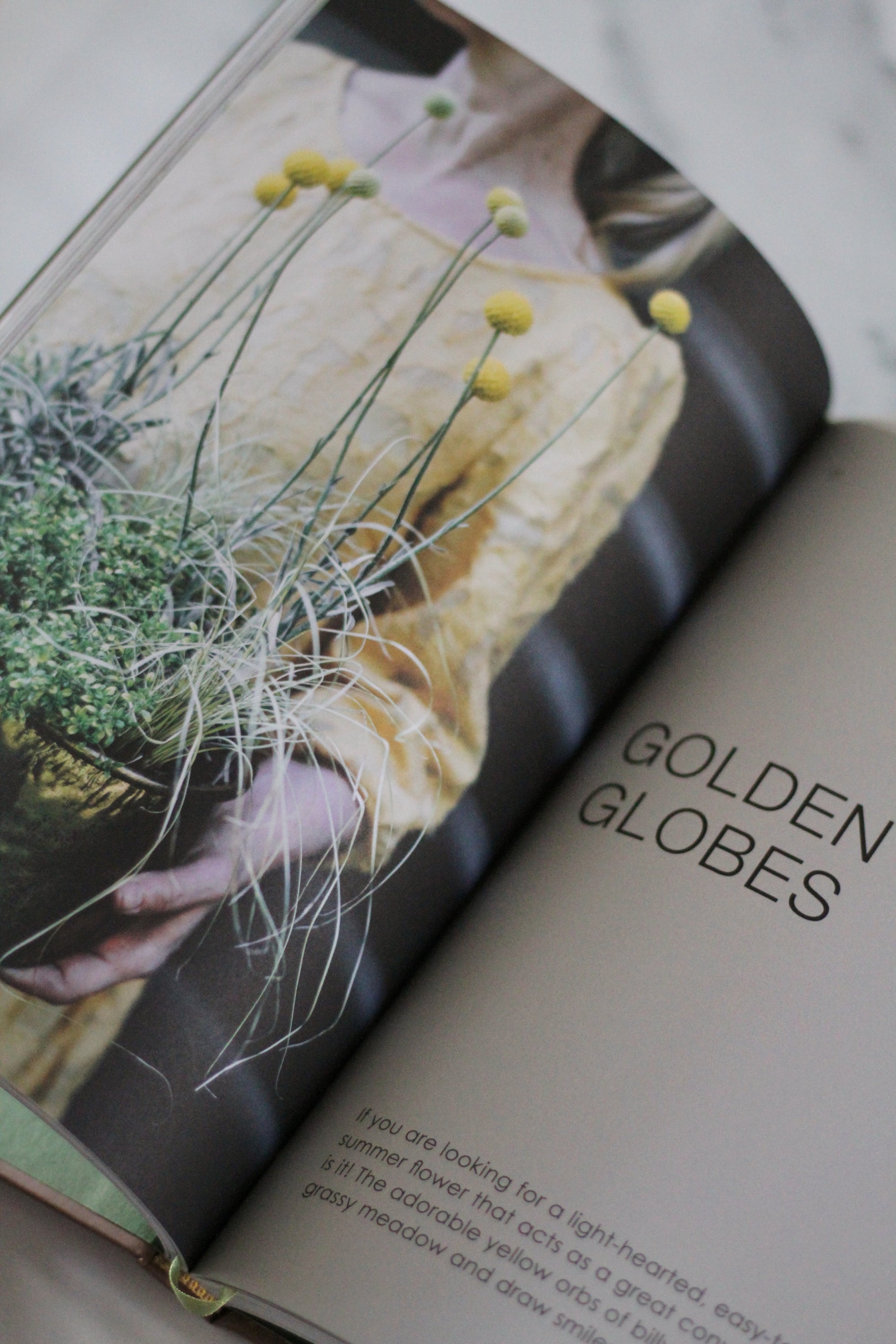 The Potted Garden Book