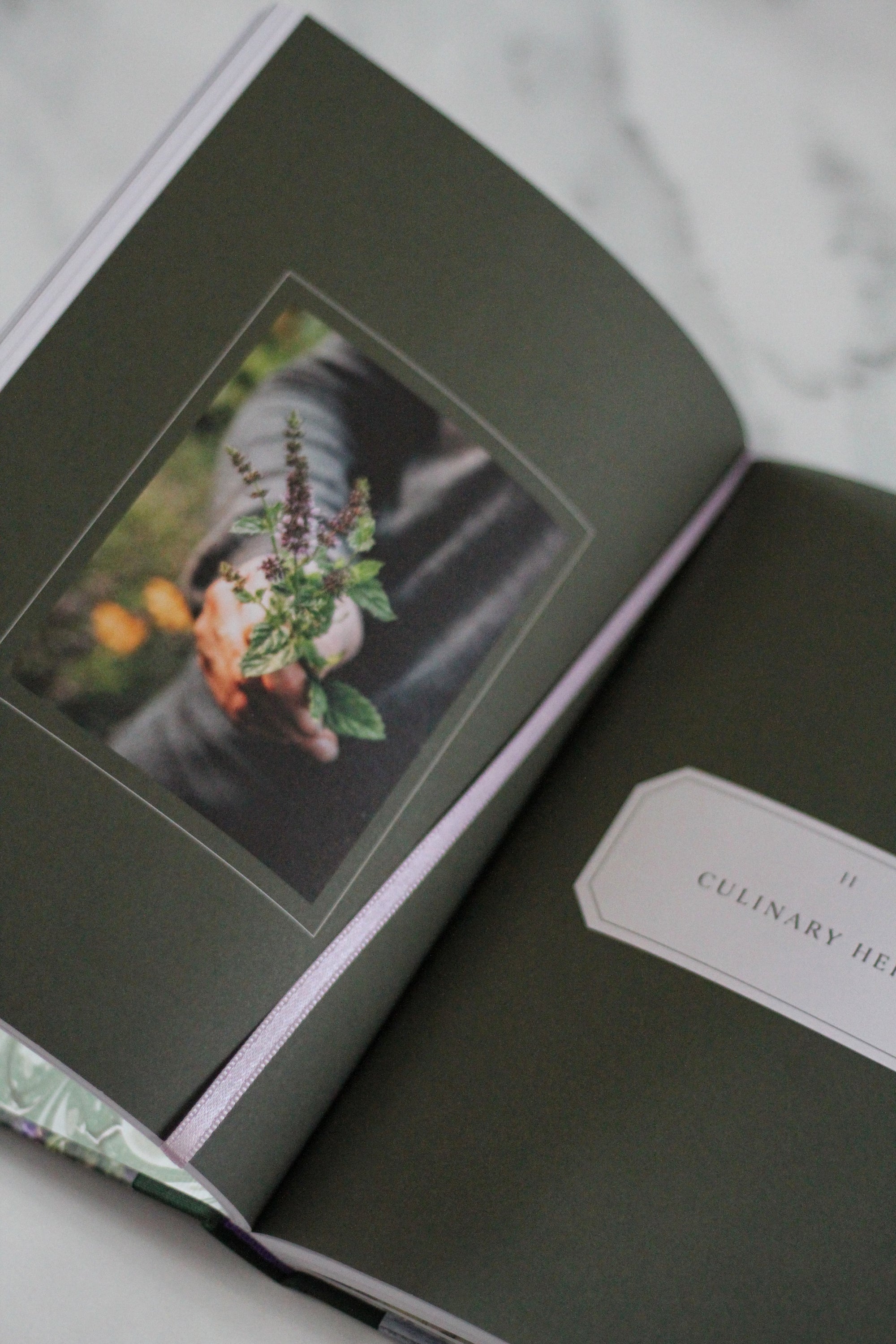 Open book with a page showing a person holding a plant, on a marble surface.