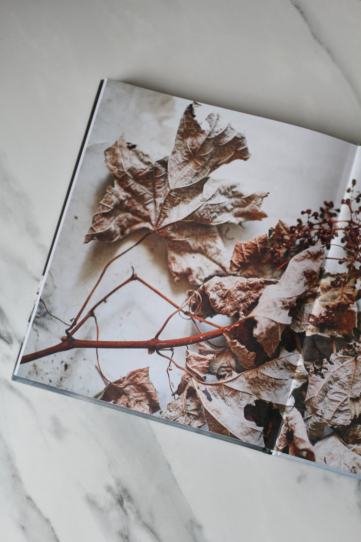 inspired by nature book by hans blomquist