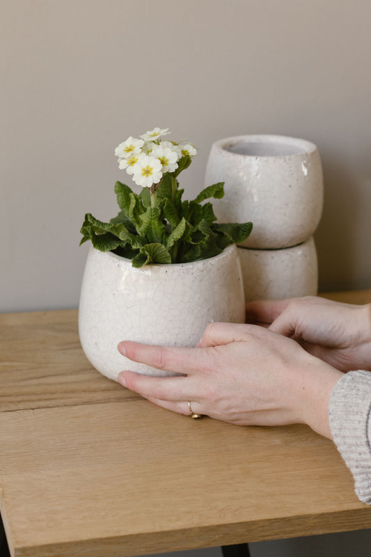 white crackel glaze plant pot internal