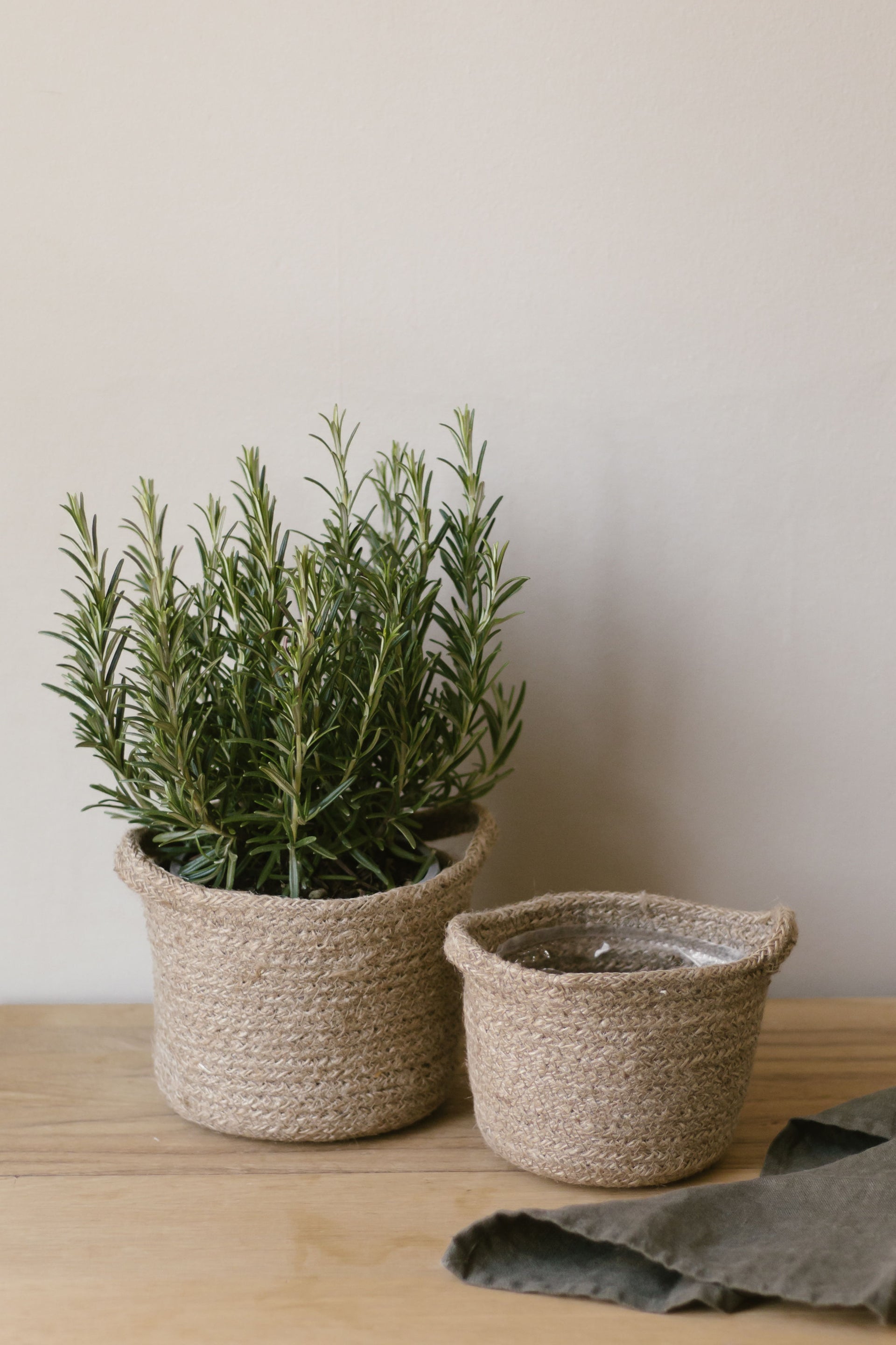 jute plant pot Jute Plant Pot – Hare & Wilde