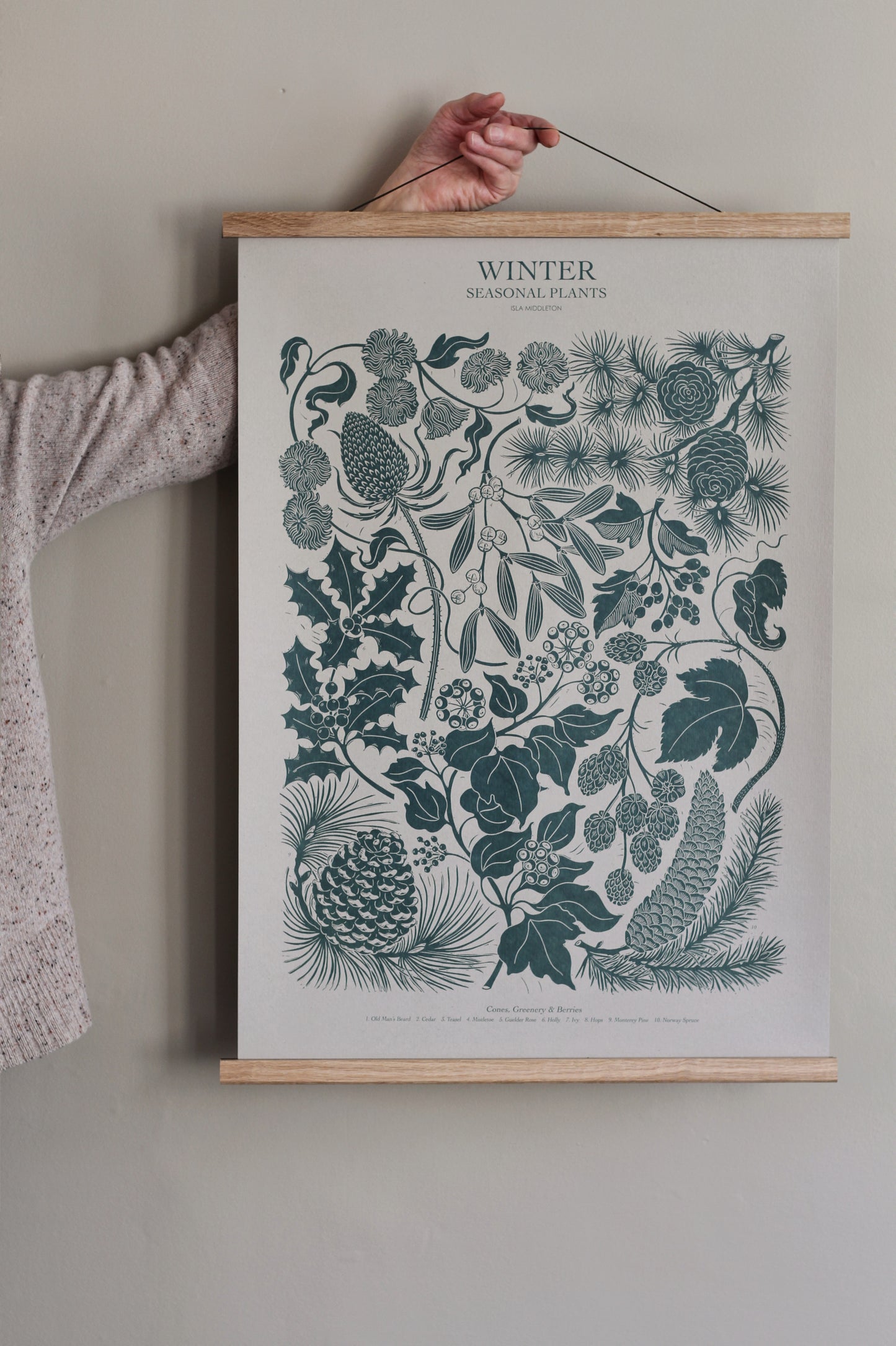 isla middleton lino print poster - winter seasonal plants